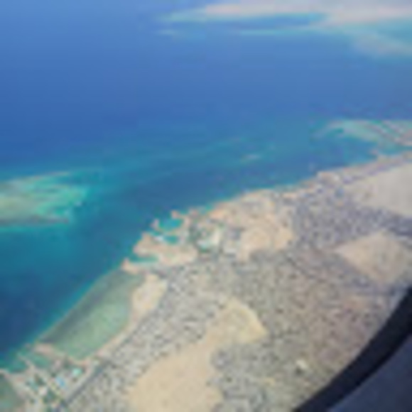 Meet your Posher, Hedy - Picture 1 of 1